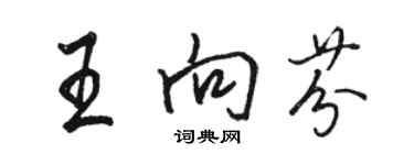 駱恆光王向芬行書個性簽名怎么寫