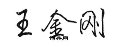 駱恆光王金剛行書個性簽名怎么寫