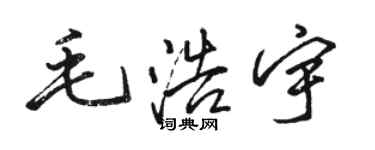 駱恆光毛浩宇行書個性簽名怎么寫