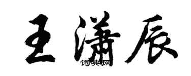 胡問遂王瀟辰行書個性簽名怎么寫
