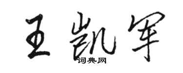 駱恆光王凱軍行書個性簽名怎么寫