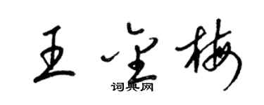 梁錦英王金梅草書個性簽名怎么寫
