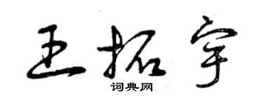 曾慶福王拓宇草書個性簽名怎么寫