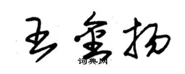 朱錫榮王金揚草書個性簽名怎么寫