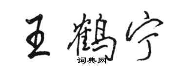 駱恆光王鶴寧行書個性簽名怎么寫