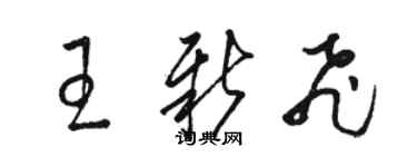 駱恆光王新飛草書個性簽名怎么寫