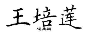 丁謙王培蓮楷書個性簽名怎么寫