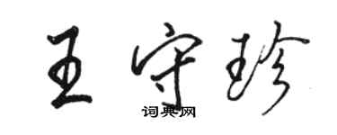 駱恆光王守珍行書個性簽名怎么寫