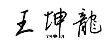 王正良王坤龍行書個性簽名怎么寫