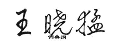 駱恆光王曉猛行書個性簽名怎么寫