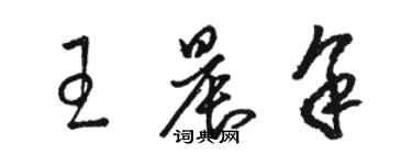 駱恆光王晨余草書個性簽名怎么寫