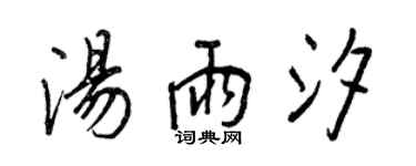 王正良湯雨汐行書個性簽名怎么寫