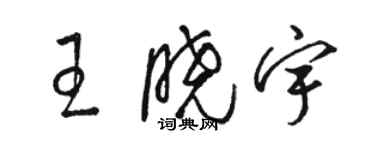 駱恆光王曉宇草書個性簽名怎么寫