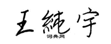 王正良王純宇行書個性簽名怎么寫