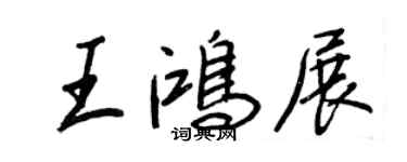 王正良王鴻展行書個性簽名怎么寫