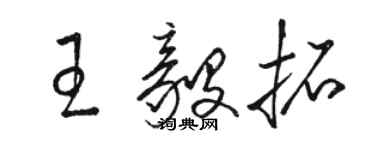 駱恆光王毅拓草書個性簽名怎么寫