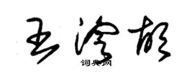 朱錫榮王泠胡草書個性簽名怎么寫