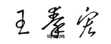 駱恆光王秦宏草書個性簽名怎么寫