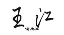 駱恆光王江行書個性簽名怎么寫