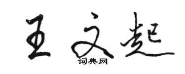 駱恆光王文起行書個性簽名怎么寫