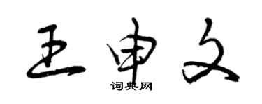 曾慶福王申文草書個性簽名怎么寫