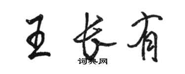 駱恆光王長有行書個性簽名怎么寫