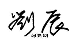 朱錫榮劉辰草書個性簽名怎么寫
