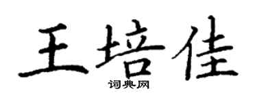 丁謙王培佳楷書個性簽名怎么寫