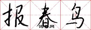 報春鳥怎么寫好看