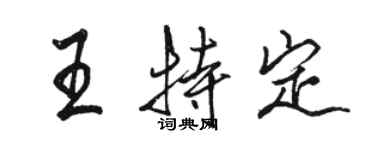 駱恆光王特定行書個性簽名怎么寫