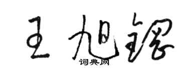 駱恆光王旭鋼草書個性簽名怎么寫