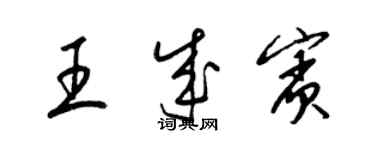 梁錦英王成賓草書個性簽名怎么寫