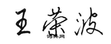 駱恆光王榮波行書個性簽名怎么寫