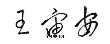 駱恆光王宙安草書個性簽名怎么寫