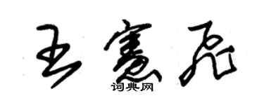 朱錫榮王憲飛草書個性簽名怎么寫