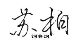 駱恆光蘇柏行書個性簽名怎么寫