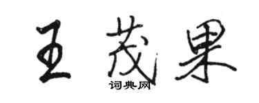 駱恆光王茂果行書個性簽名怎么寫
