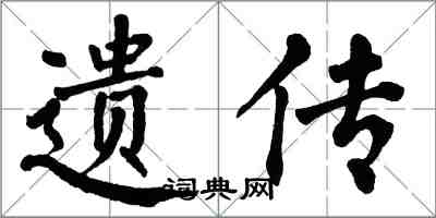 翁闓運遺傳楷書怎么寫