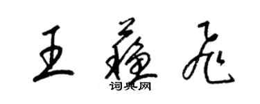 梁錦英王蘇飛草書個性簽名怎么寫