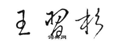 駱恆光王習杉草書個性簽名怎么寫