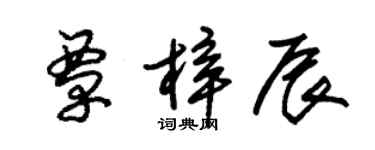 朱錫榮覃梓辰草書個性簽名怎么寫