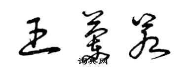 曾慶福王蘭若草書個性簽名怎么寫