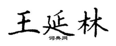 丁謙王延林楷書個性簽名怎么寫