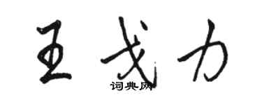 駱恆光王戈力行書個性簽名怎么寫