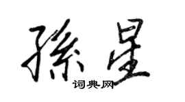 王正良孫星行書個性簽名怎么寫