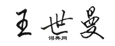 駱恆光王世曼行書個性簽名怎么寫