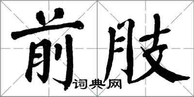 翁闓運前肢楷書怎么寫