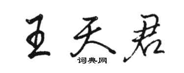 駱恆光王天君行書個性簽名怎么寫