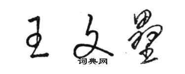 駱恆光王文壘草書個性簽名怎么寫