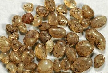 內蒙古遼上京博物館發現48顆罕見舍利子